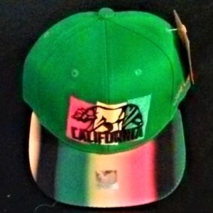 Rasta Scenic Colors California Republic Flat Cap